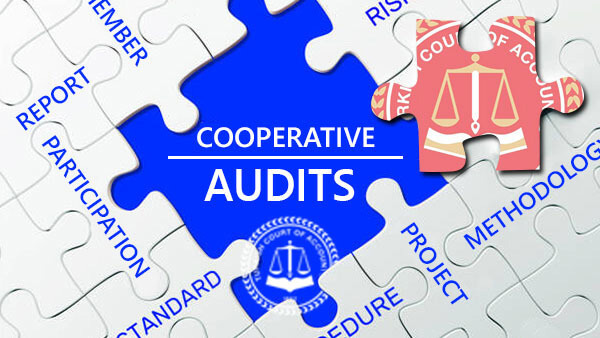 Cooperative Audits